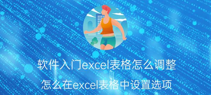 软件入门excel表格怎么调整 怎么在excel表格中设置选项？